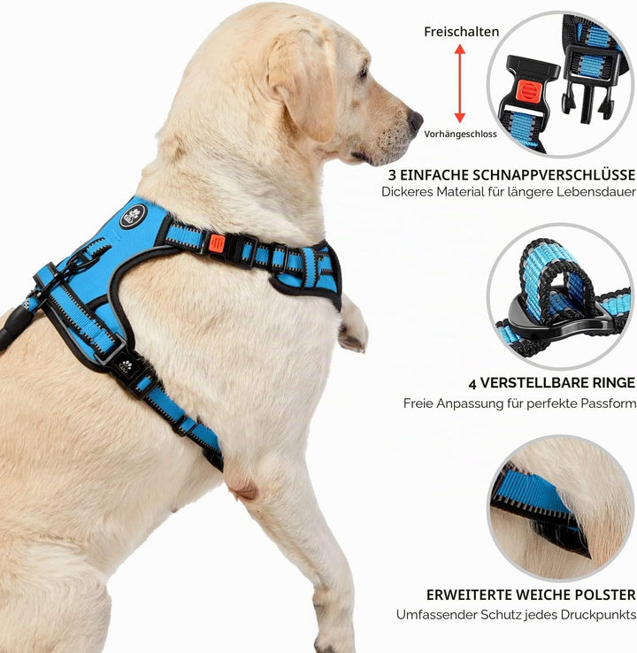 NESTROAD Hundegeschirr Grosse Hunde Leine Geschirrset Blau, Grösse L für Hunde Grosse mit Halsumfang