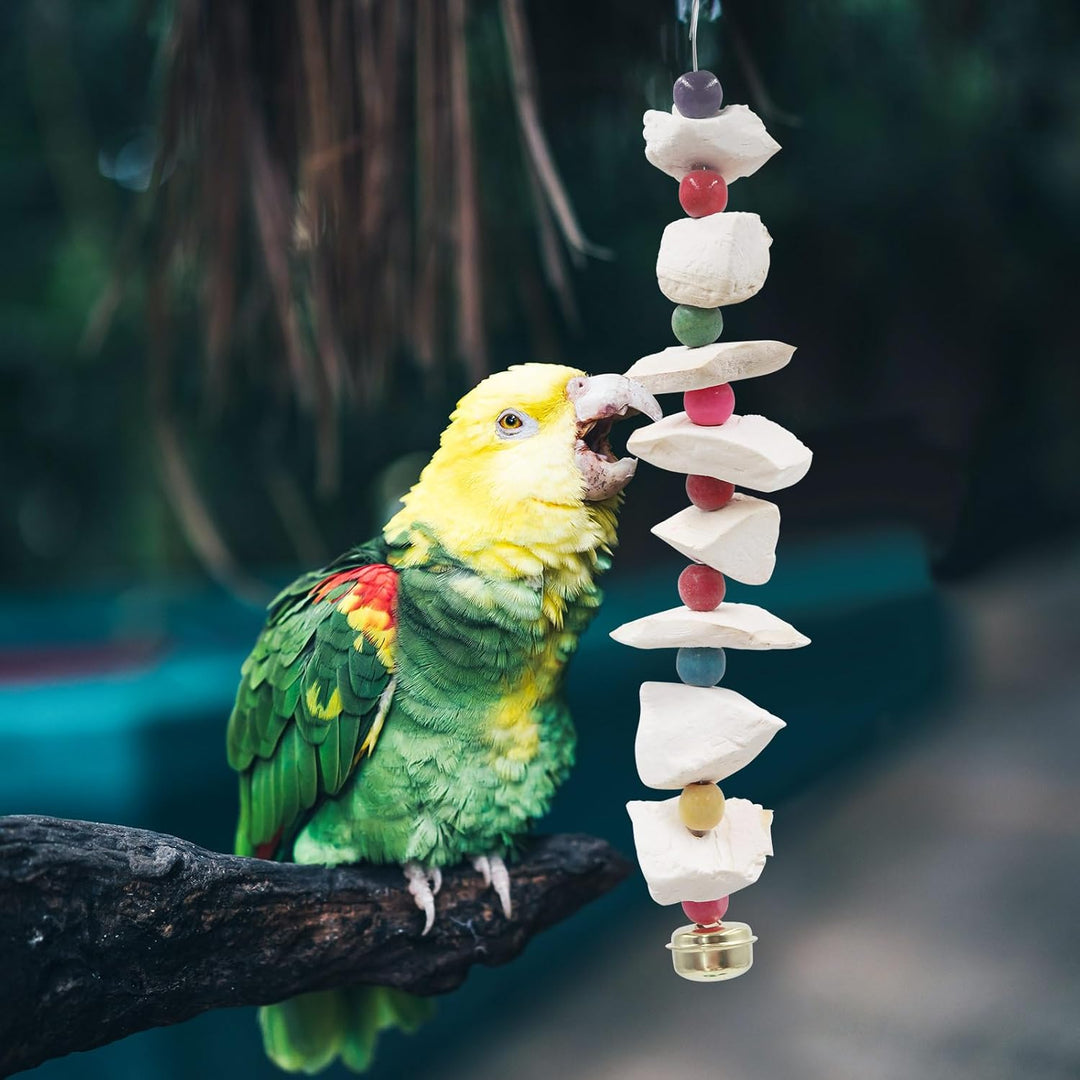 2er-Set Vogelspielzeug mit Sepiaschale – Wellensittich Spielzeug & Schnabelschleifstein, Vogelkäfig-