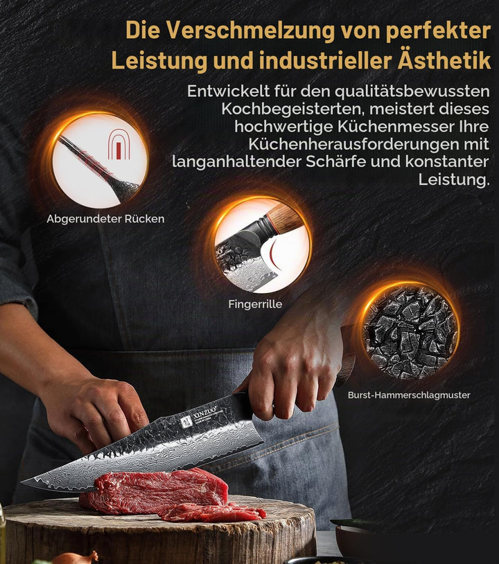 XINZUO 25,8cm Damaststahl Kochmesser Handgeschmiedet 67 Schichten Damastmesser -Profi Scharfe Küchen
