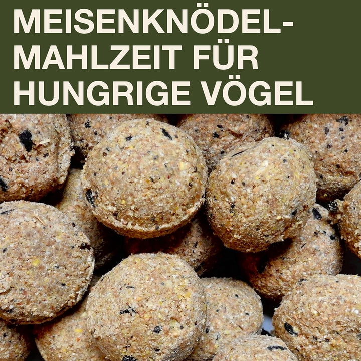 SWISSINNO Vogelfutterhaus zum Aufhängen – Lucerne SMART Birds - Meisenknödelhalter mit Auffangschale