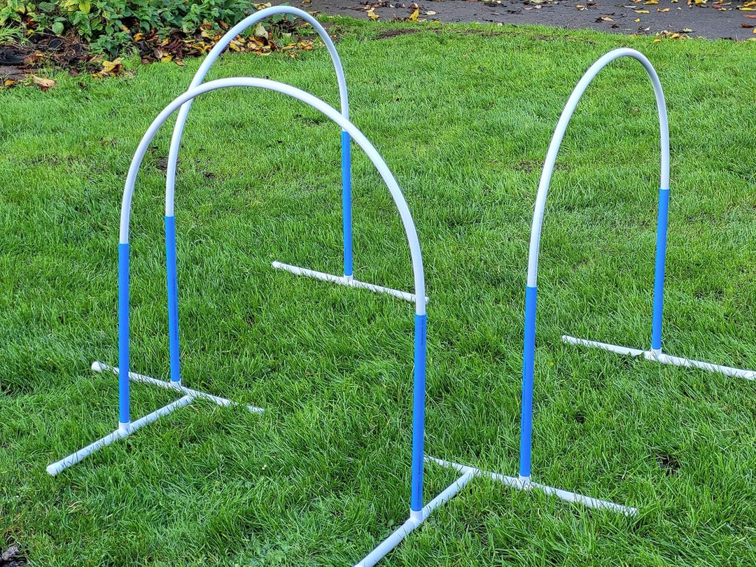 Generisch 3 NADAC Hoopers Bögen mit Ständer (blau), VDH Konform, Fun-Hoopers