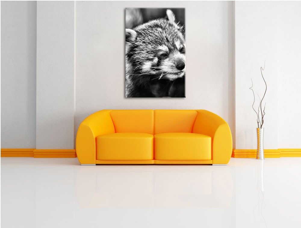 Pixxprint Monocrome, Kleiner Panda SAGT Hallo, Format: 100x70 auf Leinwand, riesige Bilder fertig ge