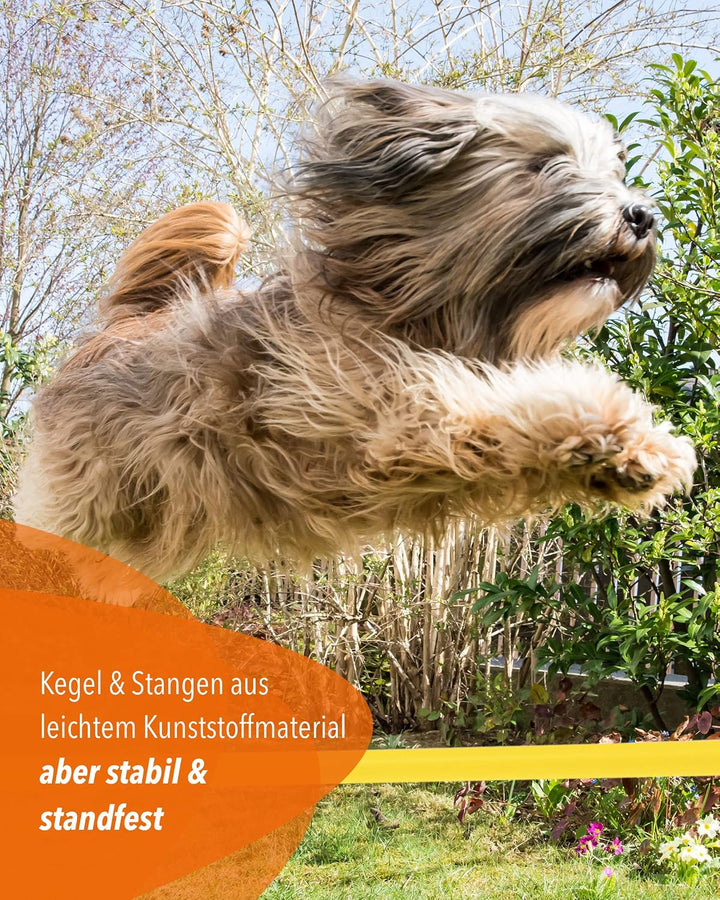 Kombi Kegel-Hürde – Steckhürde für Agility Training – Sprung- &amp; Slalom-Hütchen für Hund, Sport, Pfer