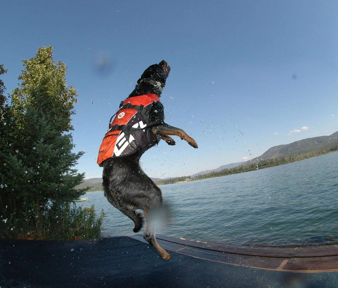 EzyDog DFD Schwimmweste Hund - Hundeschwimmweste - Schwimmwesten für Hunde - Grössenverstellbar mit