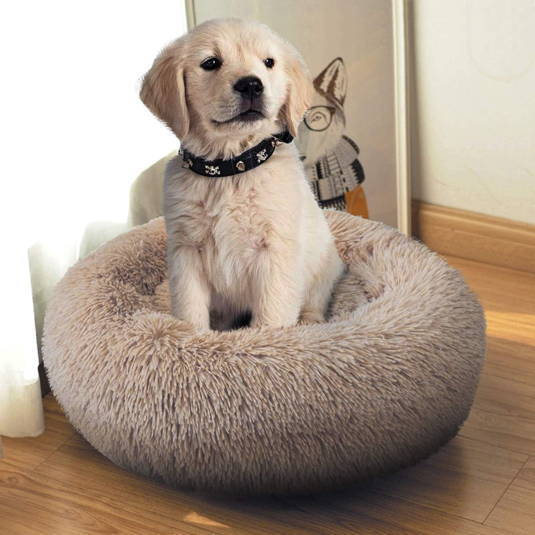 PETCUTE Hundebett Katzenbett Flauschige Marshmallow Katzen Bett Waschbar Runde Katzenkörbchen Weiche