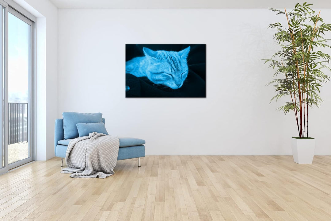 deyoli goldig schlafende Katze Format 80x60 Effekt: Monocrome Blau als Leinwandbild, Motiv fertig ge