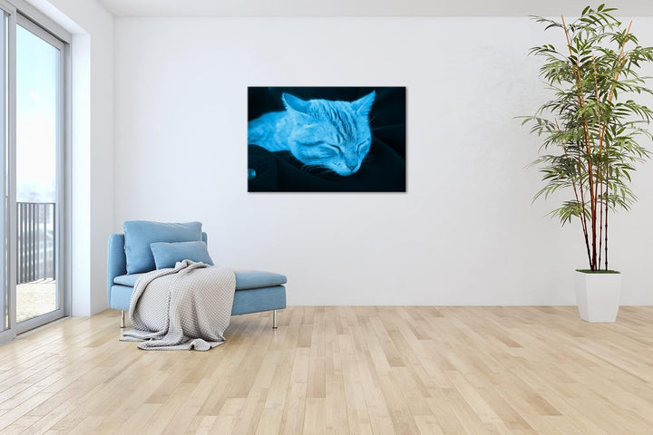 deyoli goldig schlafende Katze Format 80x60 Effekt: Monocrome Blau als Leinwandbild, Motiv fertig ge