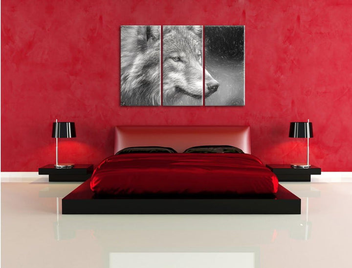 Pixxprint Porträt des europäischen Wolfes Kunst Kohle Effekt 3-Teiler Leinwandbild 120x80 Bild auf L