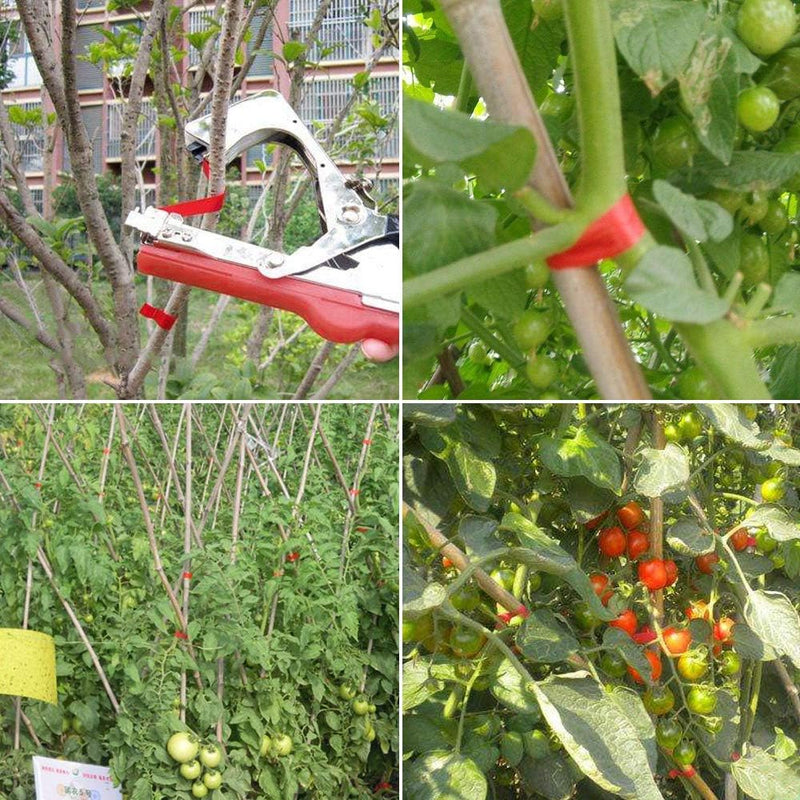 Bindezange für Pflanzen, Bandzange Bindezange Tapetool Handbindemaschine für Trauben Tomaten Gurken