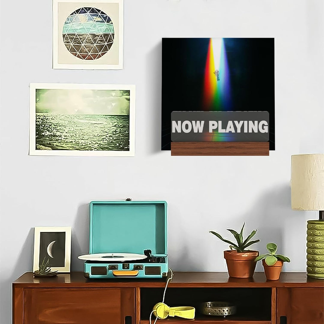 Ammonite Leuchtet auf Now Playing Vinyl-Schallplattenständer Plattenständer Wandhalterung Holz-Acryl
