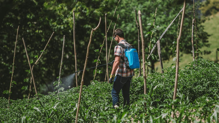 DOMARPE MATABI Evolution Elektrischer Pulver, 10 l