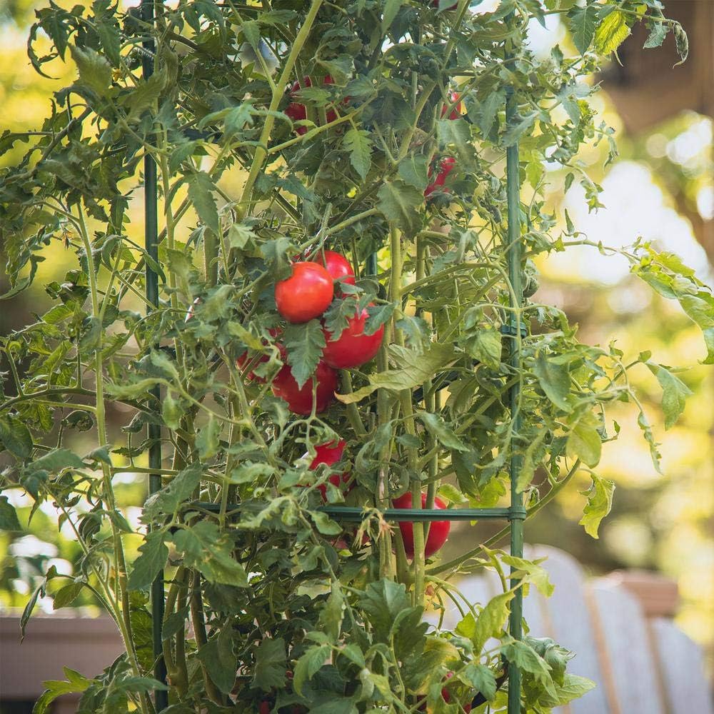 12 Stück Tomaten Spalier Verbinder, Pflanzenstütze Rankstab Stange Stab Tomatenstäbe Verbinder Pflan