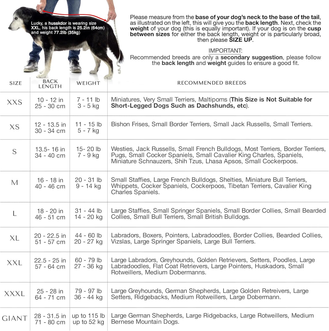 Lucky Paws® Hundebademantel – doppellagiger, Ultra-absorbierender & luxuriös weicher Bademantel Hund