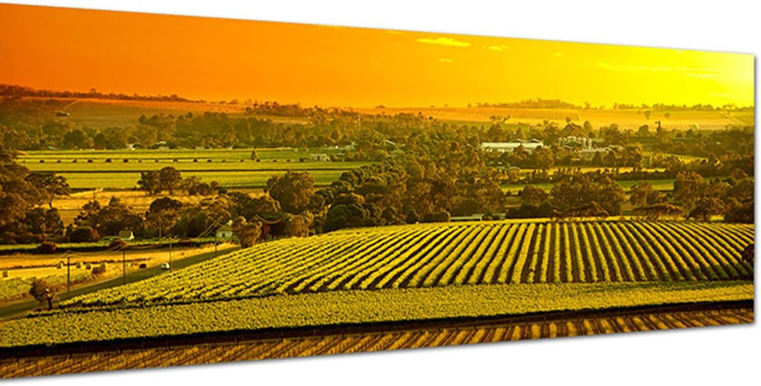 Paul Sinus Art Panoramabild auf Leinwand und Keilrahmen 150x50cm Australien Landschaft Sonnenunterga