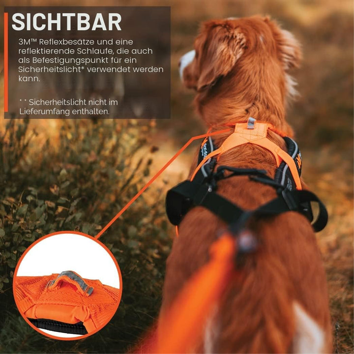 Non-stop dogwear Freemotion Harness 5.0 | Hunde-Geschirr für alle Sportarten, Grösse:Grösse 3 schwar