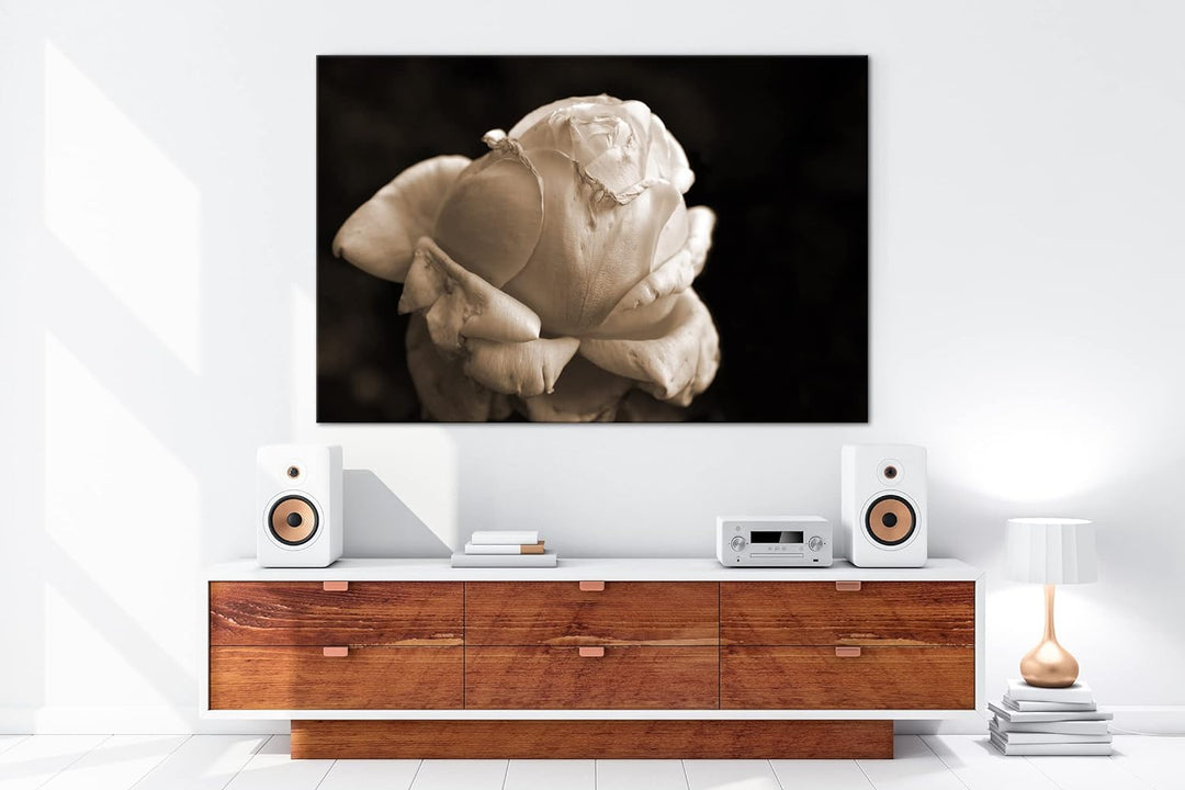 Vergänglichkeit der Natur Effekt: Sepia, Format: 80x60 als Leinwandbild, Motiv fertig gerahmt auf Ec