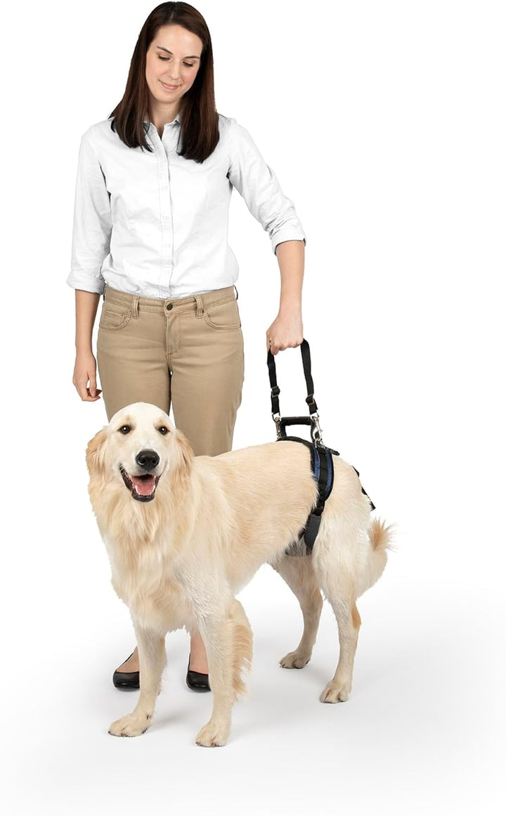 PetSafe CareLift Hüft-Hebegeschirr für Hunde, Hebehilfe mit Griff und Schultergurt zur Hüftunterstüt