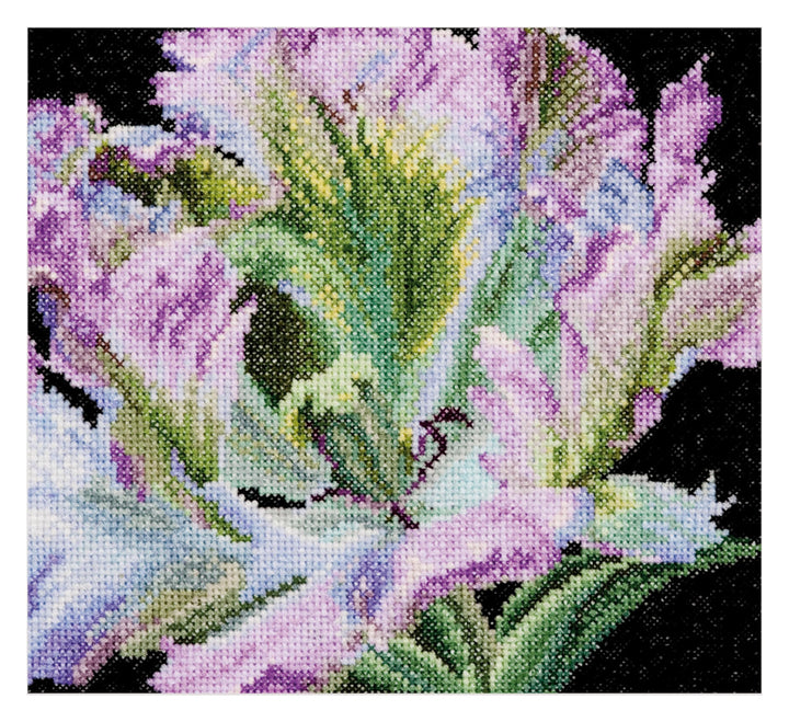 Thea Gouverneur - Kreuzstich-Set - Tulpe - Aia - Aida - 18 Count - Für Erwachsene - 494A, Tulpe - Ai