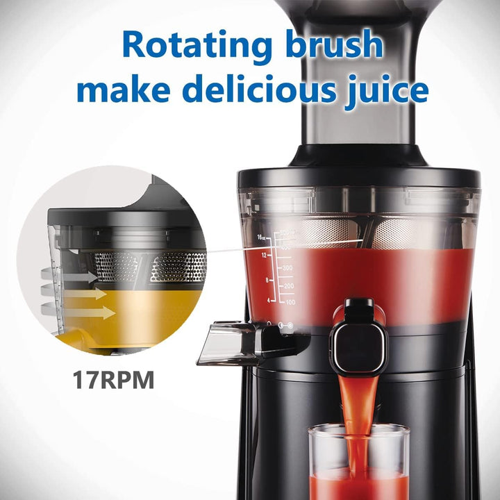 DAHLERT X HUROM | Slow Juicer | Entsafter Gemüse und Obst | DT-SJ-21 | Leiser Motor | Hohe Saftausbe