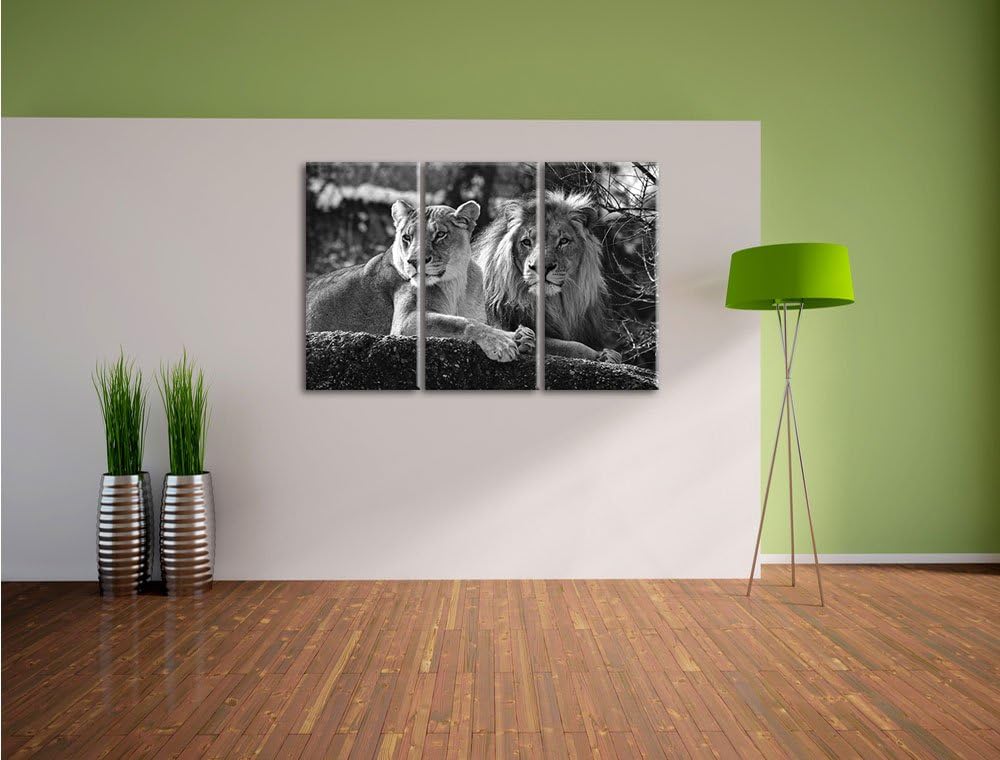 Pixxprint interessiertes Löwenpaar Kunst B&W als Leinwandbild/Grösse: 3 Teilig (120x80 cm) cm/Wandbi