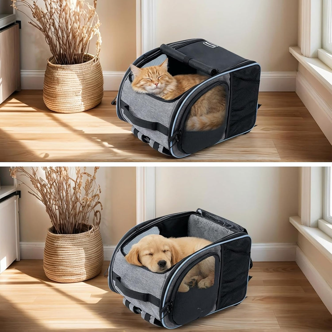 Taschmik Katzenrucksack Hunderucksack für Katzen Hunde bis 6kg, Katzen Rucksack erweiterbar Hunde Ru