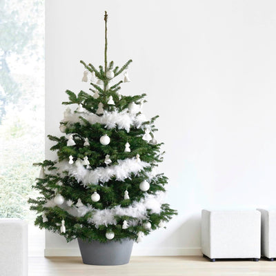 Ecopots Christbaumständer mit Wasserspeicher für Bäume bis 3,00 m Baumhöhe umkippsicher - Tannenbaum