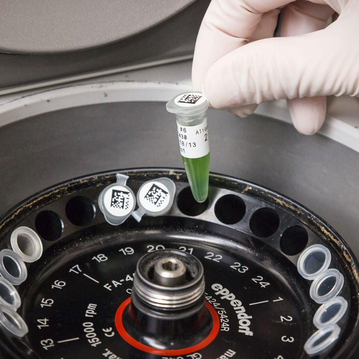 NEOUZA 5PK Compatible For Brother P-Touch Laminated Tze Tz Label Tape Cartridge 12mmx8m (TZe-Fx231 F