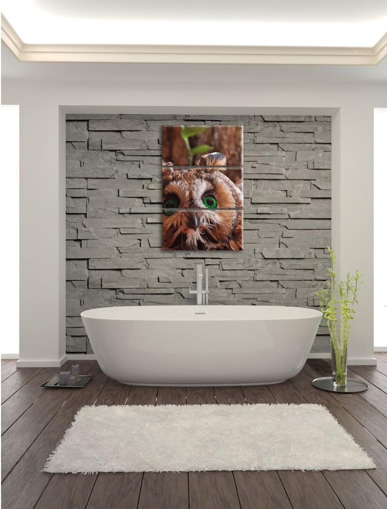 Pixxprint Kleine Eule grüne Augen als Leinwandbild/Grösse: 3 Teilig (120x80) cm/Wandbild/Kunstdruck/