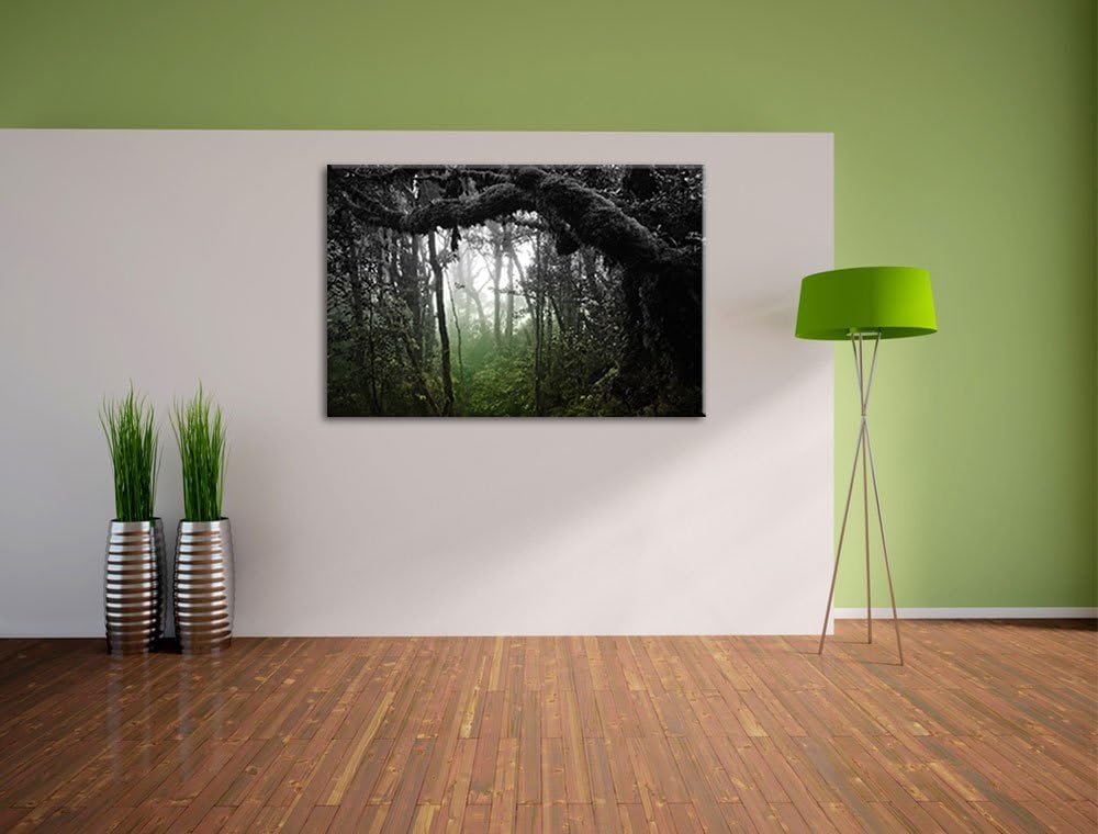 Regenwald in seiner ganzen Pracht schwarz/weiss Format: 100x70 auf Leinwand, XXL riesige Bilder fert