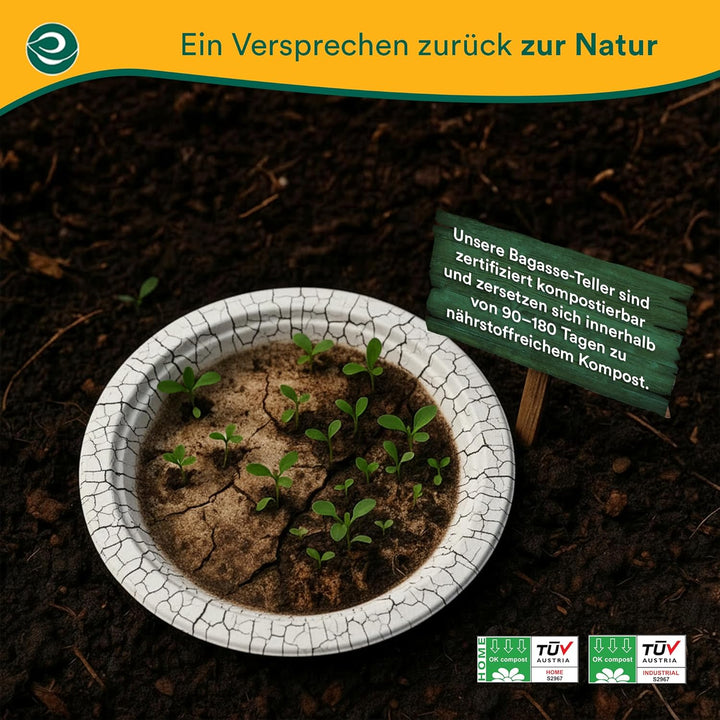 ECO SOUL Pearl White Runde 15cm Bagasse Pappteller (100 Stück), Einweggeschirr und 100% Kompostierba