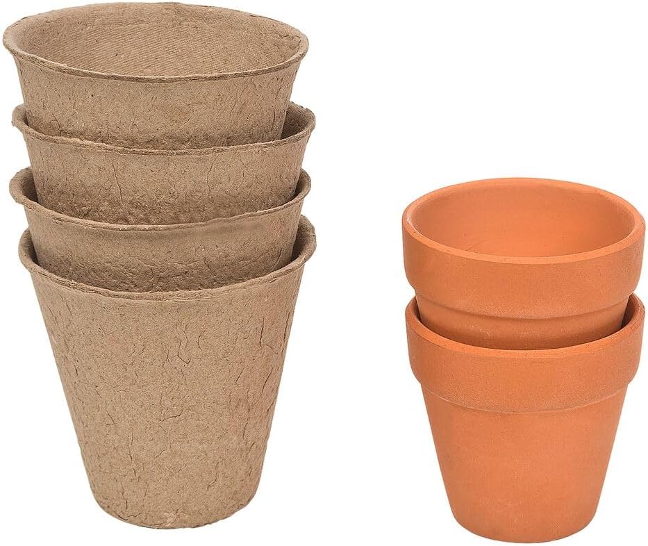 moses 016168 Krabbelkäfer Blumenkoffer-Gartenset, grosses Mal DIY-Set zum Säen, Anzüchten, Pflegen u