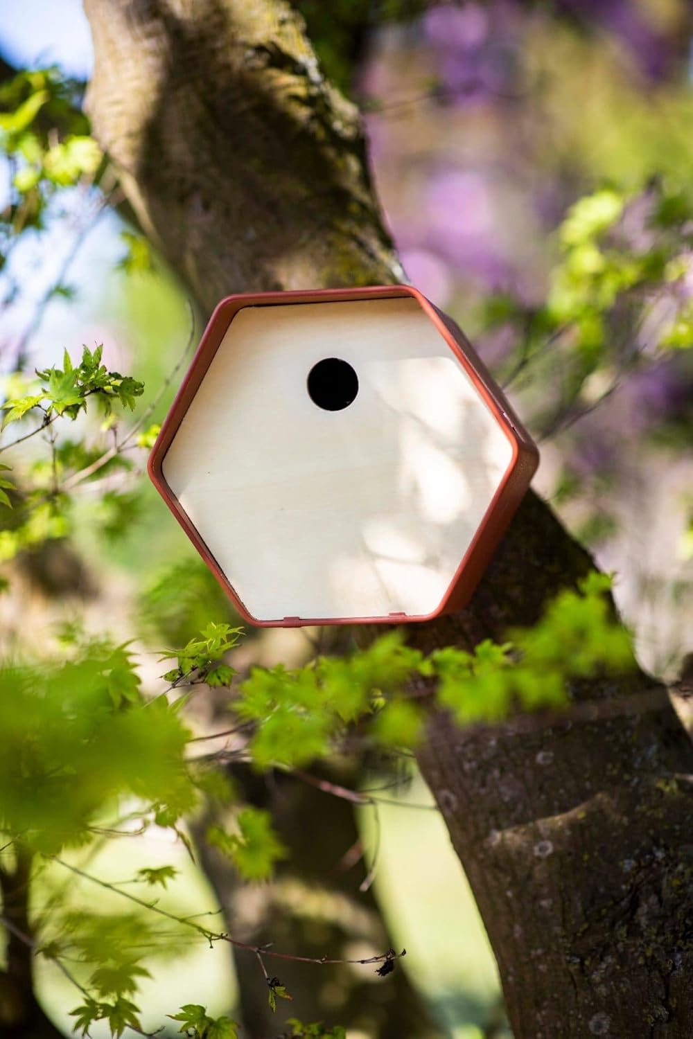 Capi Europe - Vogelhaus rund Hive - 19x23x20 - Anthrazit - CAPI Biodiversity Hive - AHBIA001 Anthraz