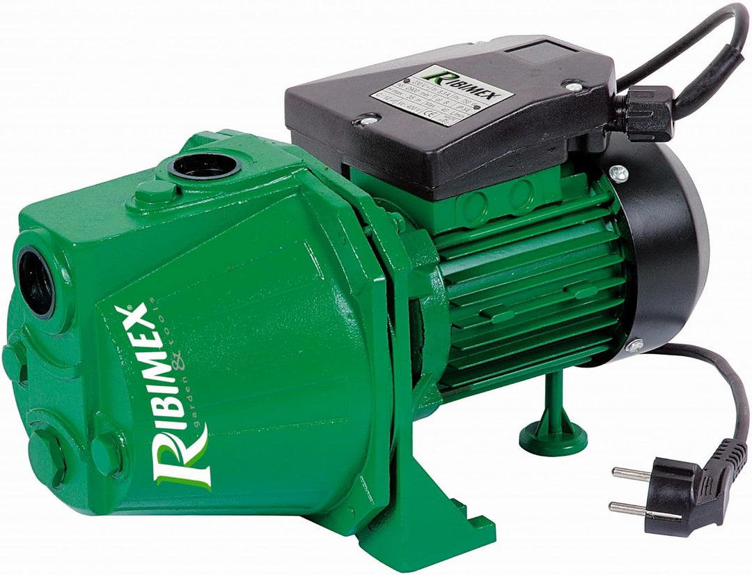 RIBILAND 04201 Wasserpumpe-Oberfläche Grün 1180 W