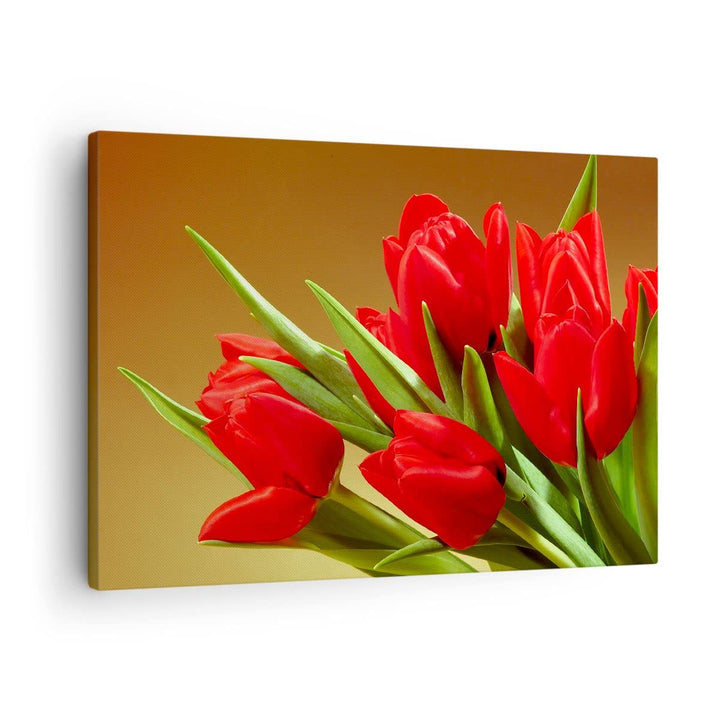 Bilder auf Leinwand Tulpen Blumen Feld Plantage Leinwandbild 70x50cm Wandbilder Dekoration Wohnzimme