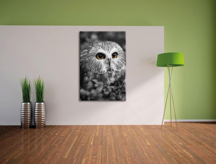 Pixxprint junger Kauz im Vogelbeerstrauch schwarz/weiss, Format: 80x120 auf hochkantiges Leinwand, 8