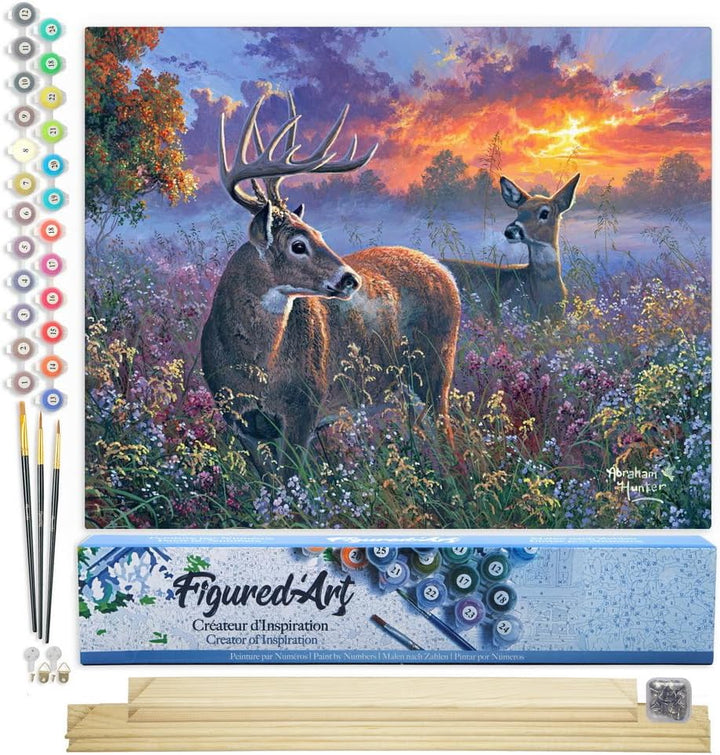 Figured'Art Malen Nach Zahlen Erwachsene Mit Rahmen Reh Pärchen - Paint by Numbers Basteln DIY Baste
