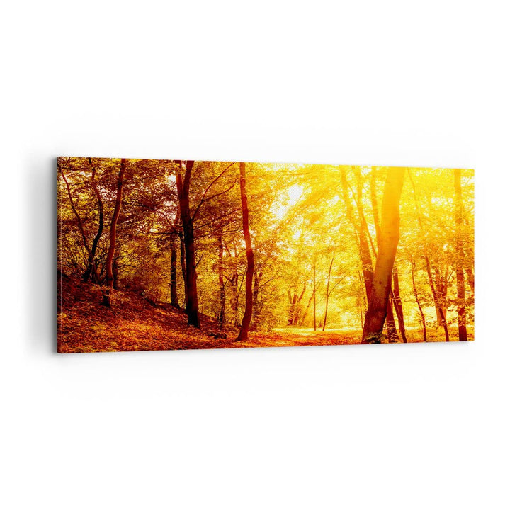 Panorama Bilder auf Leinwand 100x40cm Leinwandbild mit Rahmen Wald Baum Natur Gross Wanddeko Bild Sc