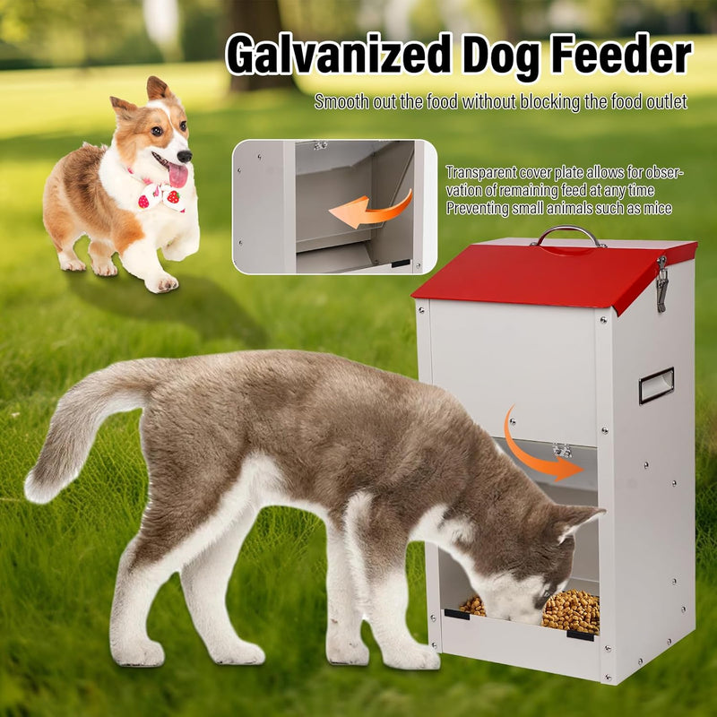 Verzinkte Automatische Hundefutterspender für Grosse Hunde, 11KG Outdoor Haustiere Futterspender Sch