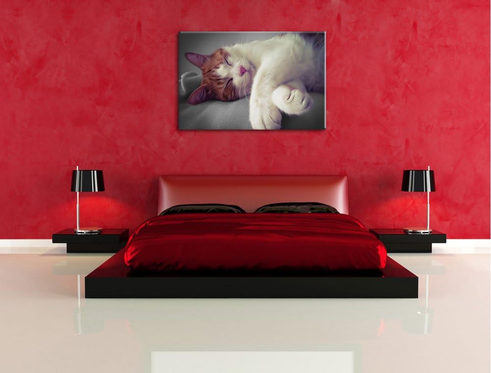schlafende Katze auf Decke schwarz/weiss Format: 100x70 auf Leinwand, XXL riesige Bilder fertig gera