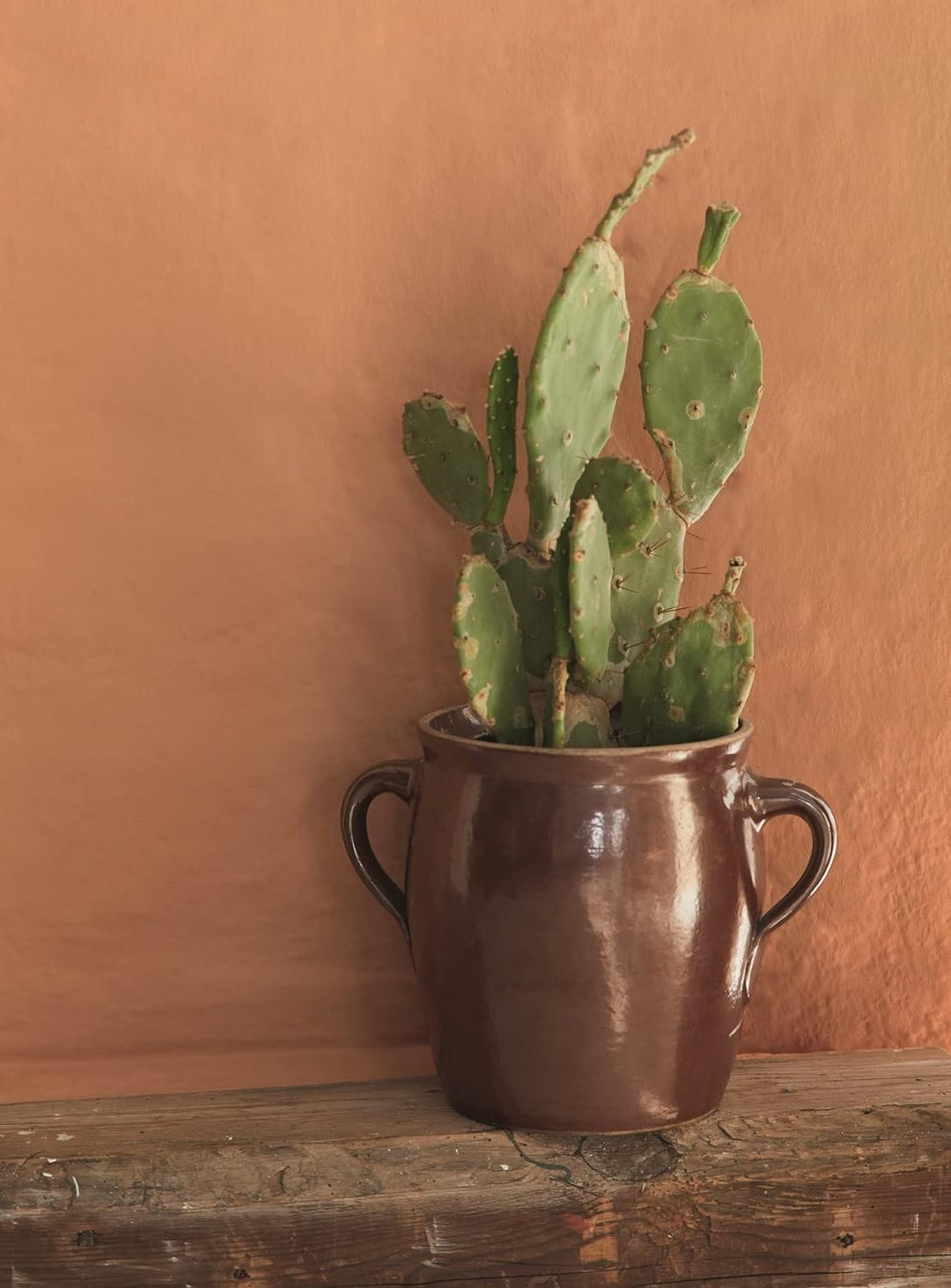 Alpina Feine Farben No. 43 Baukunst der Sonne® edelmatt 2,5 Liter, No. 43 Baukunst der Sonne