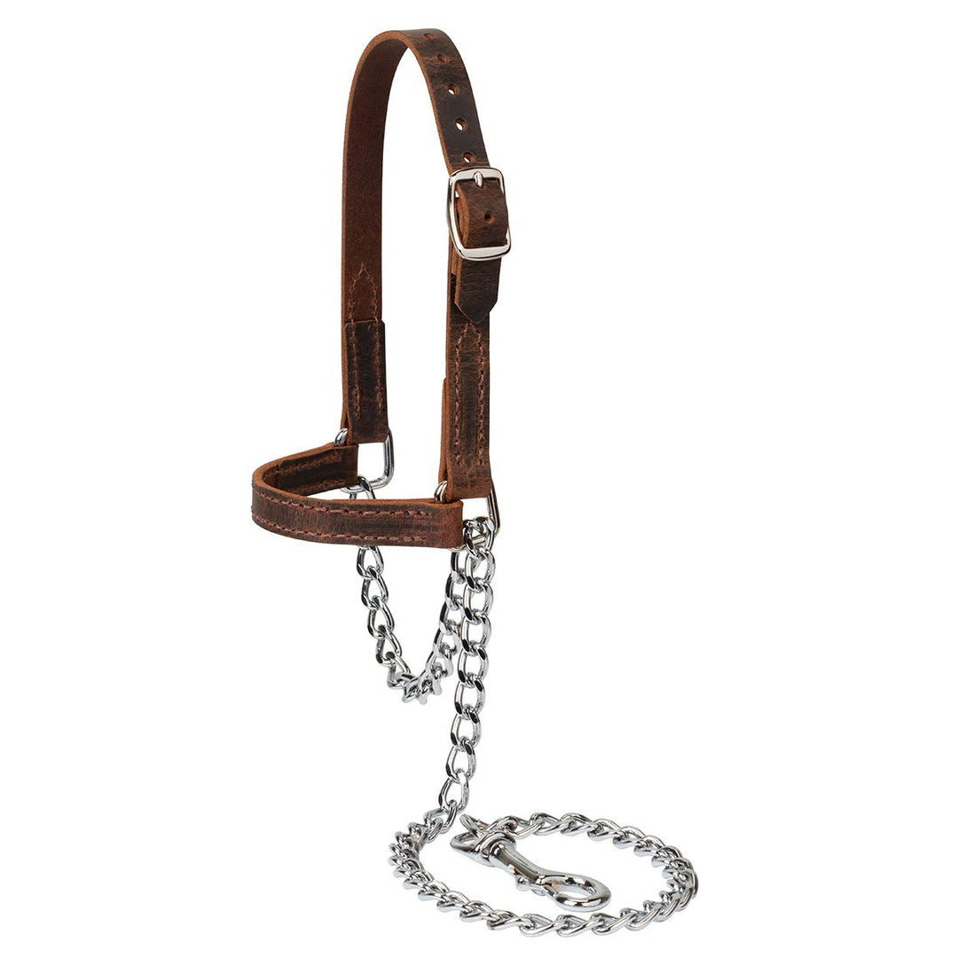 Weaver LeatherBrahma Webb® Goat Halter L verschiedene Farben, L verschiedene Farben