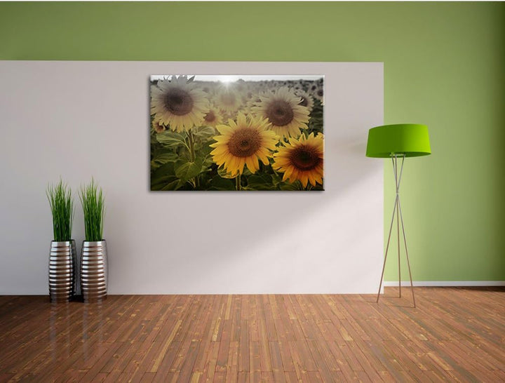Pixxprint Sonnenblumen auf dem Feld als Leinwandbild | Grösse: 100x70 | Wandbild| Kunstdruck | ferti