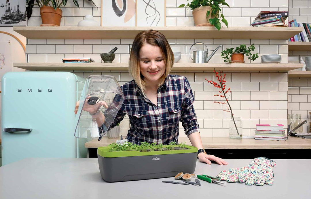 Romberg BoQube L Plus (Pflanzsystem, Farbe Anthrazit-Sommergrün, PAK-frei, lebensmittelecht, mit Bel