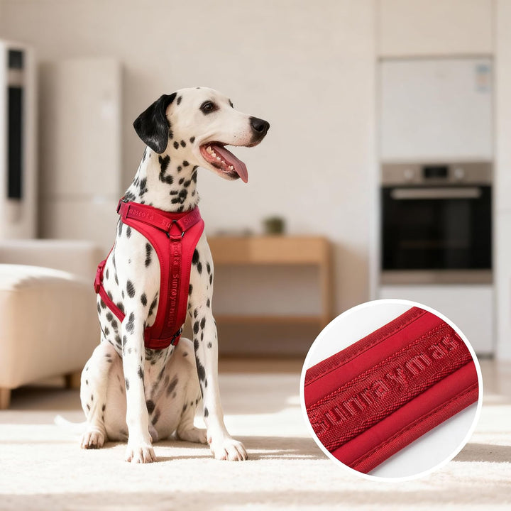 No Pull Hundegeschirr mit weicher Lycra-Polsterung, atmungsaktiver Komfortweste aus Mesh, Verstellba