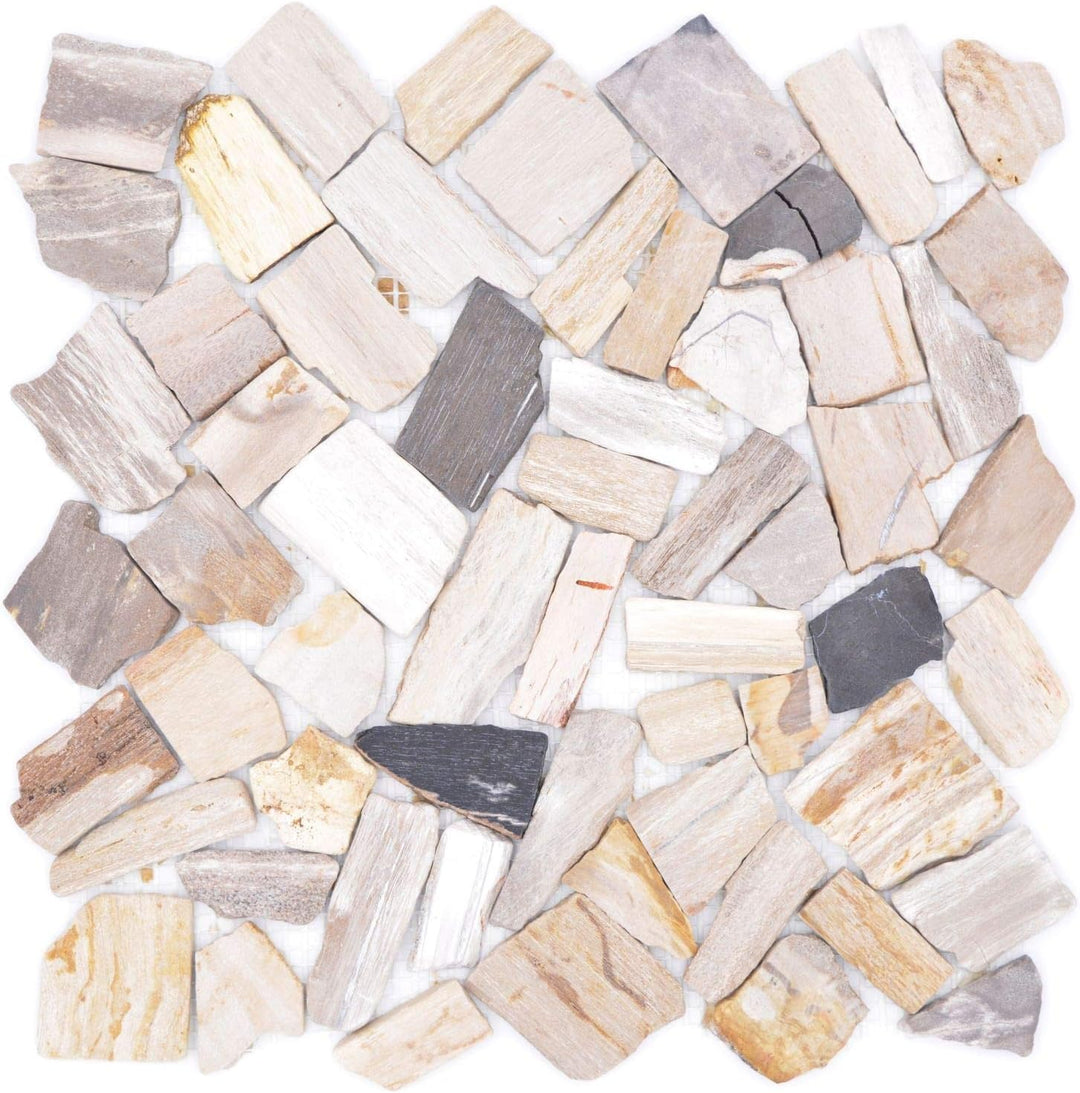 Mosaik Fliese Bruch/Ciot mix Fossil für WAND KÜCHE Wandverblender Fliesenspiegel Verkleidung | 10 Ma