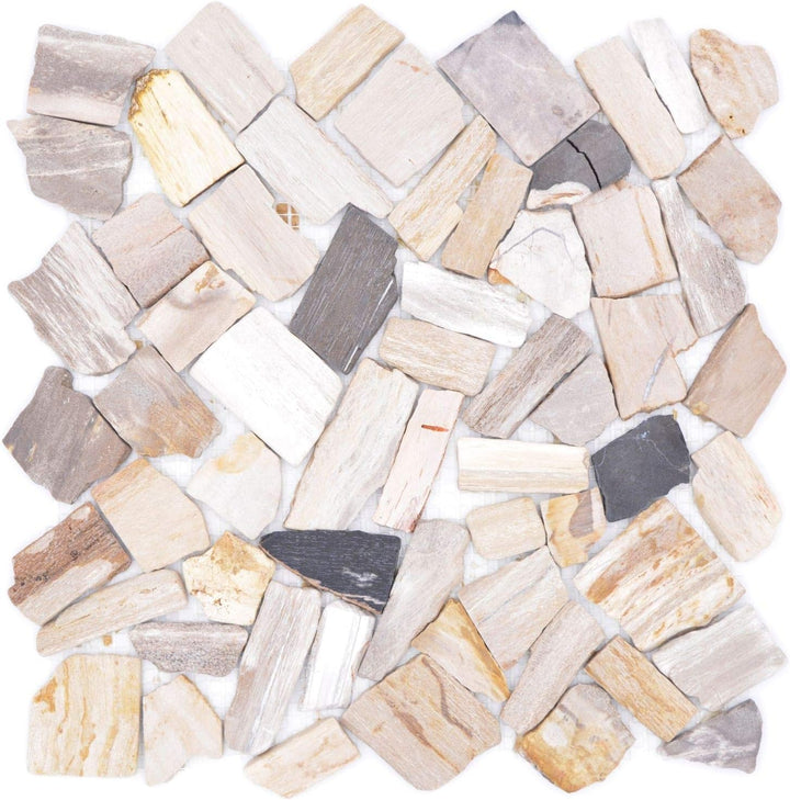 Mosaik Fliese Bruch/Ciot mix Fossil für WAND KÜCHE Wandverblender Fliesenspiegel Verkleidung | 10 Ma