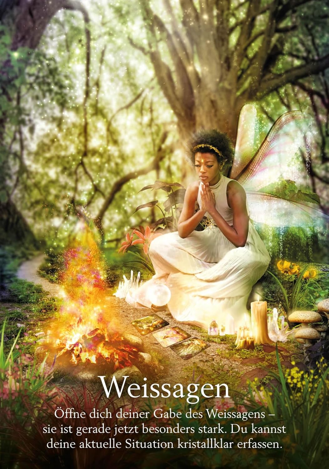 Orakel der Feen: Set mit Buch und 44 Karten, Taschenbuch