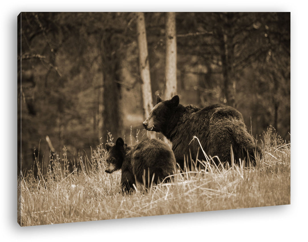 deyoli Braunbärfamilie Format: 80x60 Effekt: Sepia als Leinwand, Motiv fertig gerahmt auf Echtholzra
