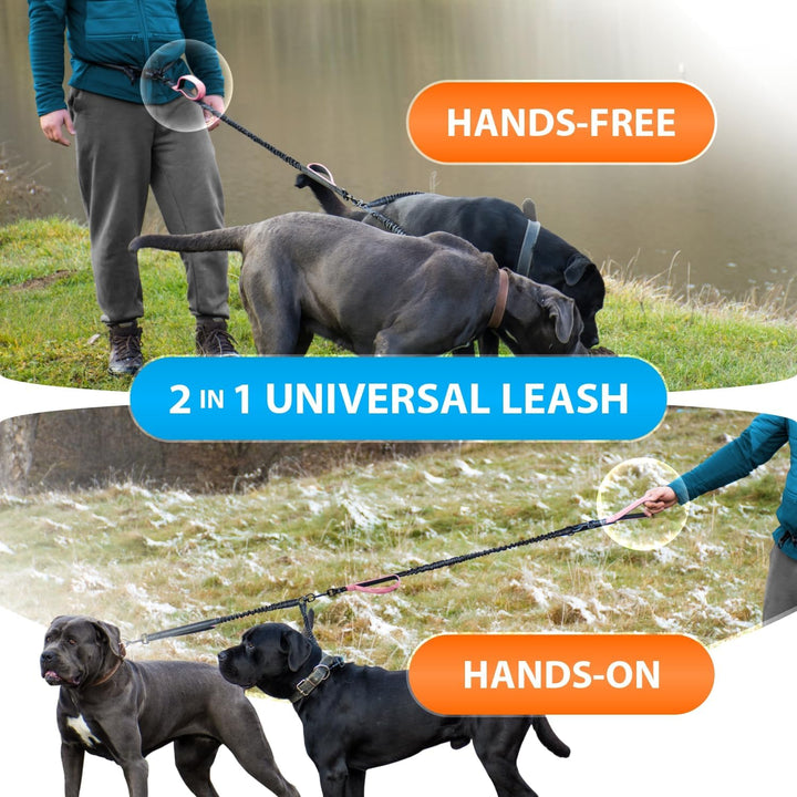 Joggingleine für Hunde zum Laufen, Joggen, Wandern | 2 in 1 Joggingleine und Normale Hundeleine für
