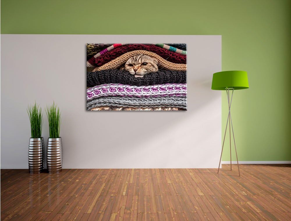 Kuschel Kätzchen zwischen Pullovern Format: 100x70 auf Leinwand, XXL riesige Bilder fertig gerahmt m